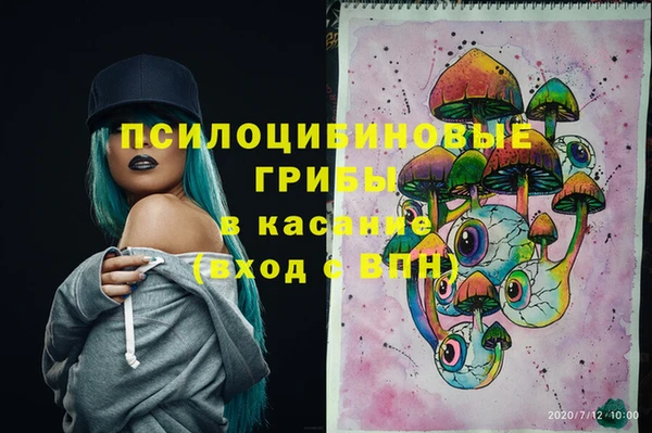 твердый Абаза