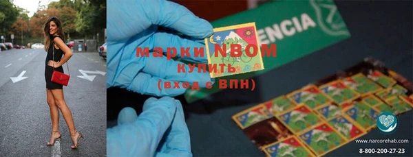 твердый Абаза