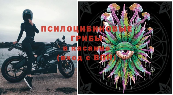 твердый Абаза