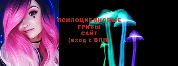 ГАЛЛЮЦИНОГЕННЫЕ ГРИБЫ Алексеевка