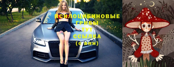 винт Абинск