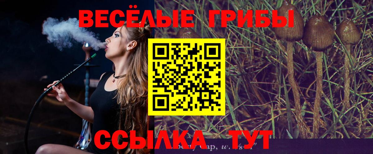 Дятьково  Псилоцибиновые грибы мухоморы  Вход с VPN 