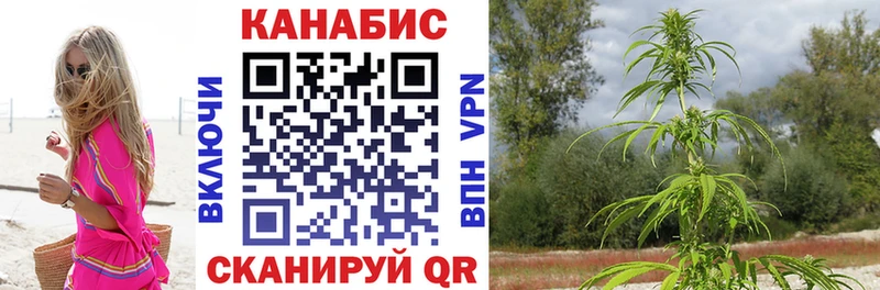 Канабис OG Kush Дятьково